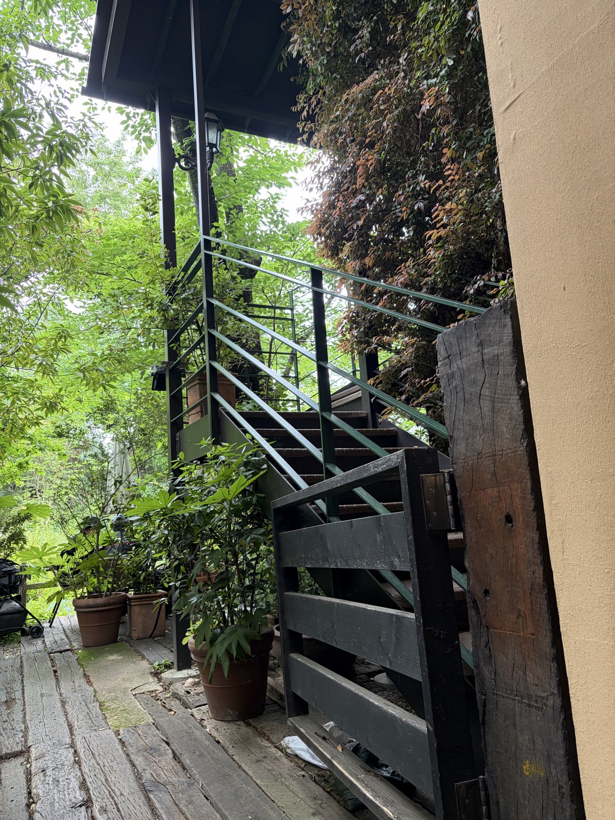 cafe Felice(カフェ フェリーチェ) - 練馬 写真3