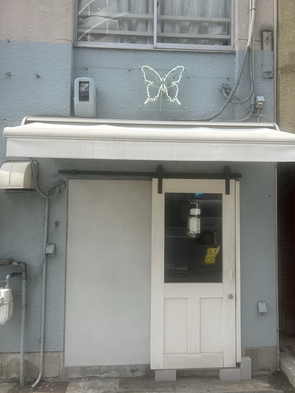 papillon - 写真3