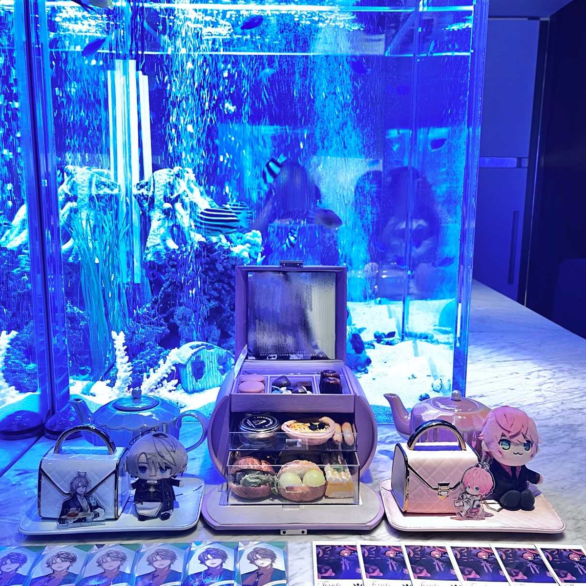 🪼💙